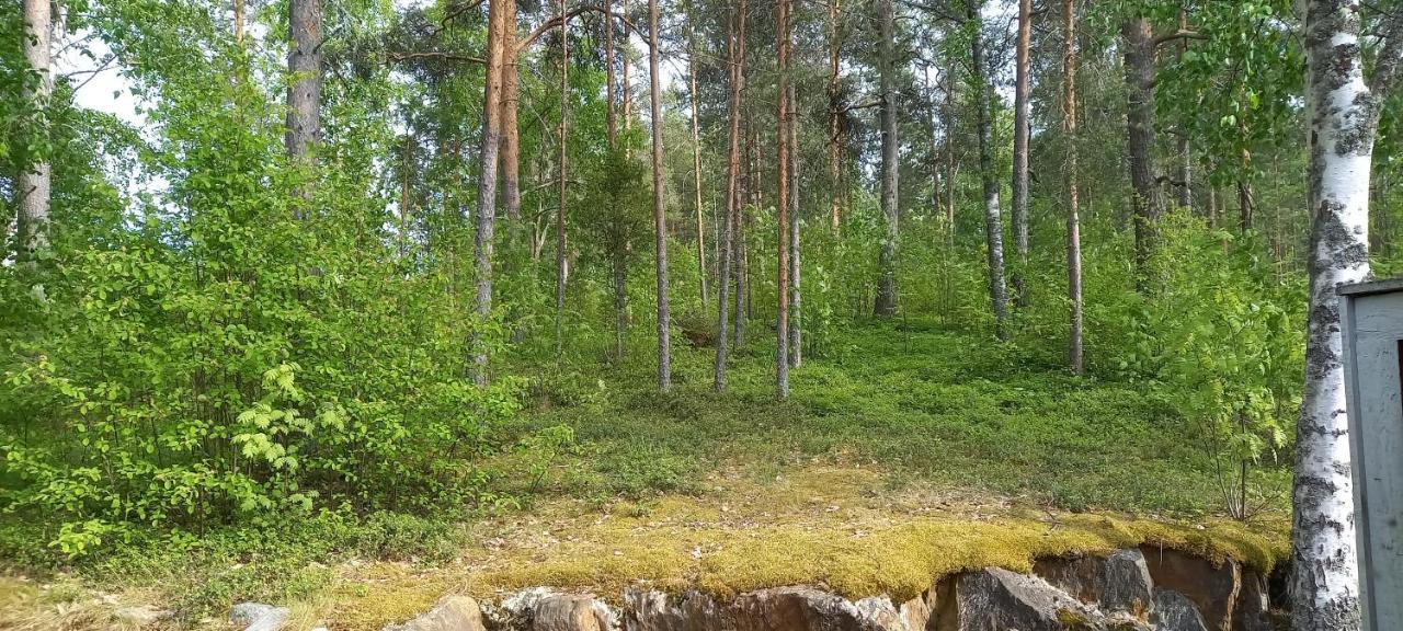 Saimaan Kodikas Apartment Savonlinna Luaran gambar